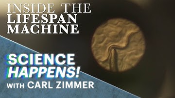 Science Happens! | Episode 4 | Can a worm