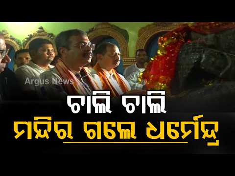 MP Dharmendra Pradhan's Padyatra in Pallahara | Visits Jagannath Temple on Foot | Argus News
