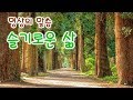 명상의 말씀,  슬기로운 삶 중에서.. / 엄주환 낭송