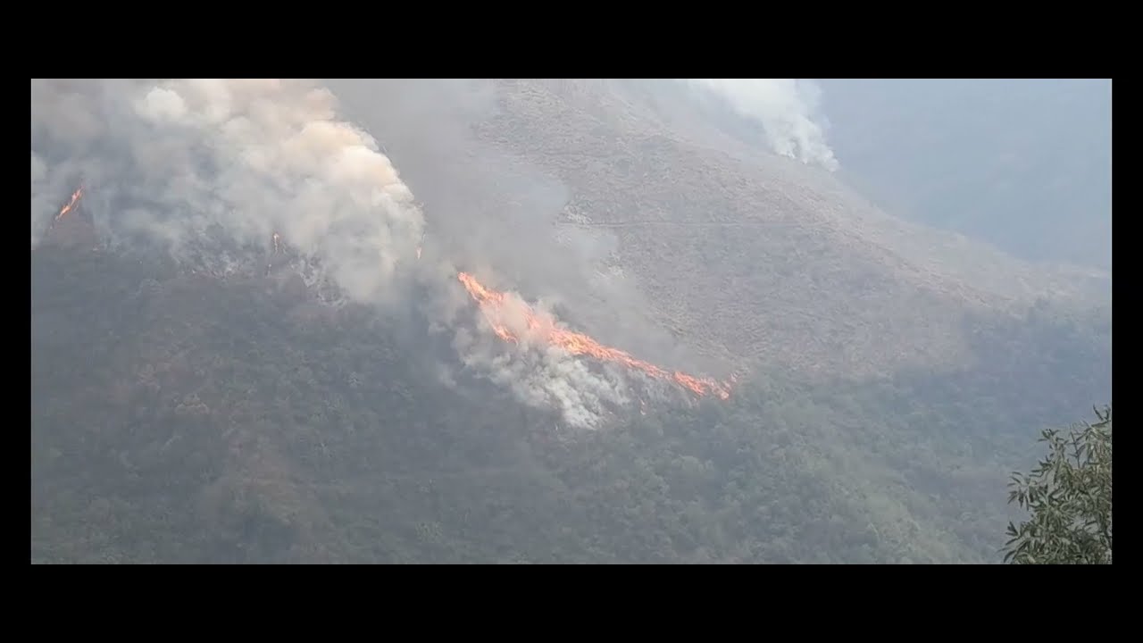 Burning the Field for Jhum Farming | Real Village Life in Northeast India