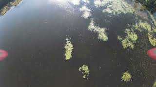 North South Lake - Low Flyby FPV Drone - Catskill, NY