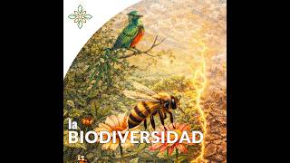 podcast la biodiversidad L·02