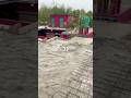 ￼ ajka video concrete ka kam#funny #comedy #home #construction