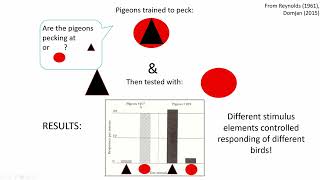 PSYCH 381 - Chapter 8 - Part 1