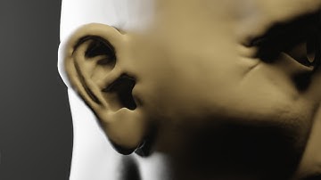 Sculpting Ears With Blender - Basic Anatomy and Sculpting Tutorial