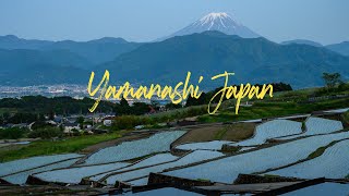 rice fields with Mt Fuji. Yamanashi Japan　山梨県南アルプス市　中野の棚田