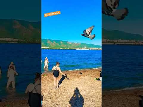 ПЛЯЖ 'ТИХАЯ ГАВАНЬ'