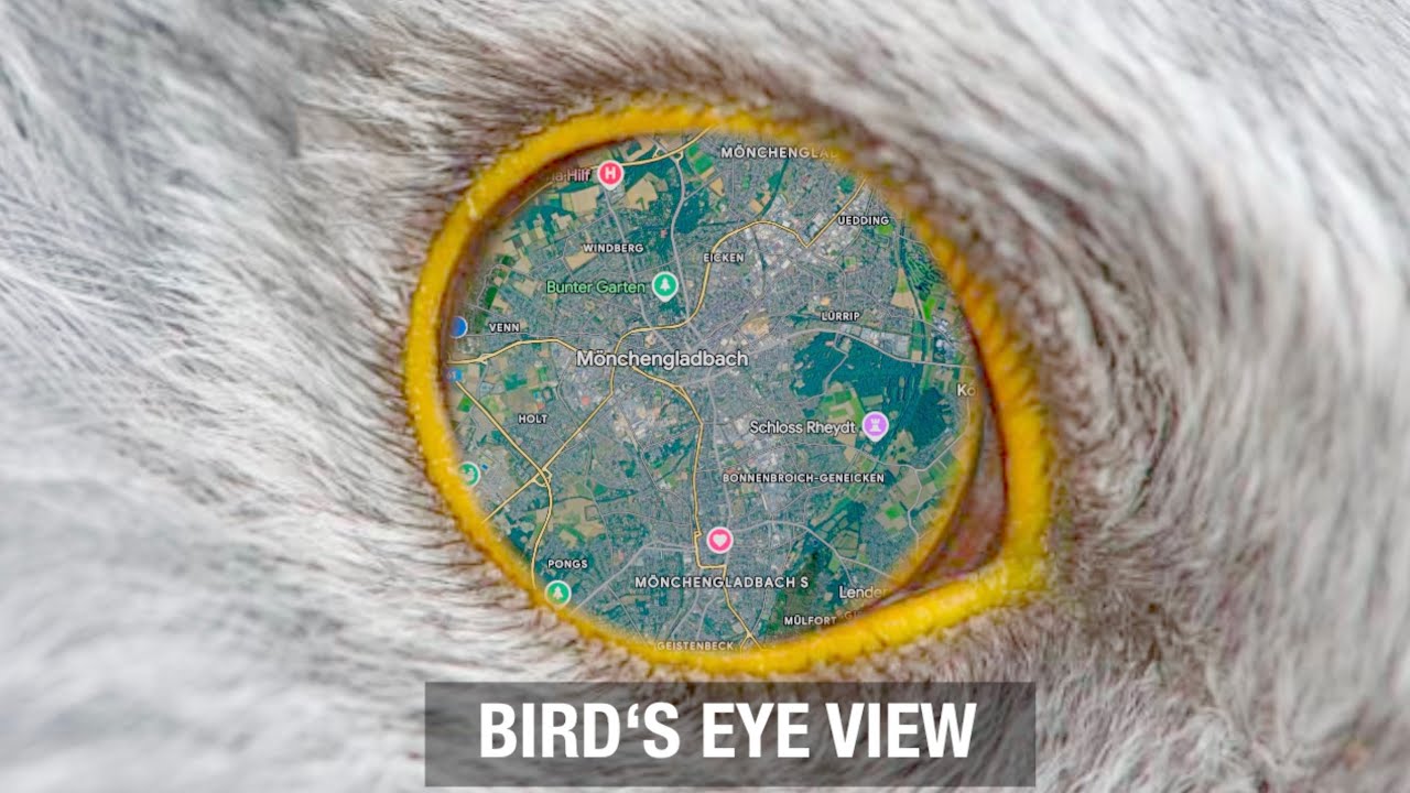 BIRD‘S EYE VIEW - MÖNCHENGLADBACH (drone footage)