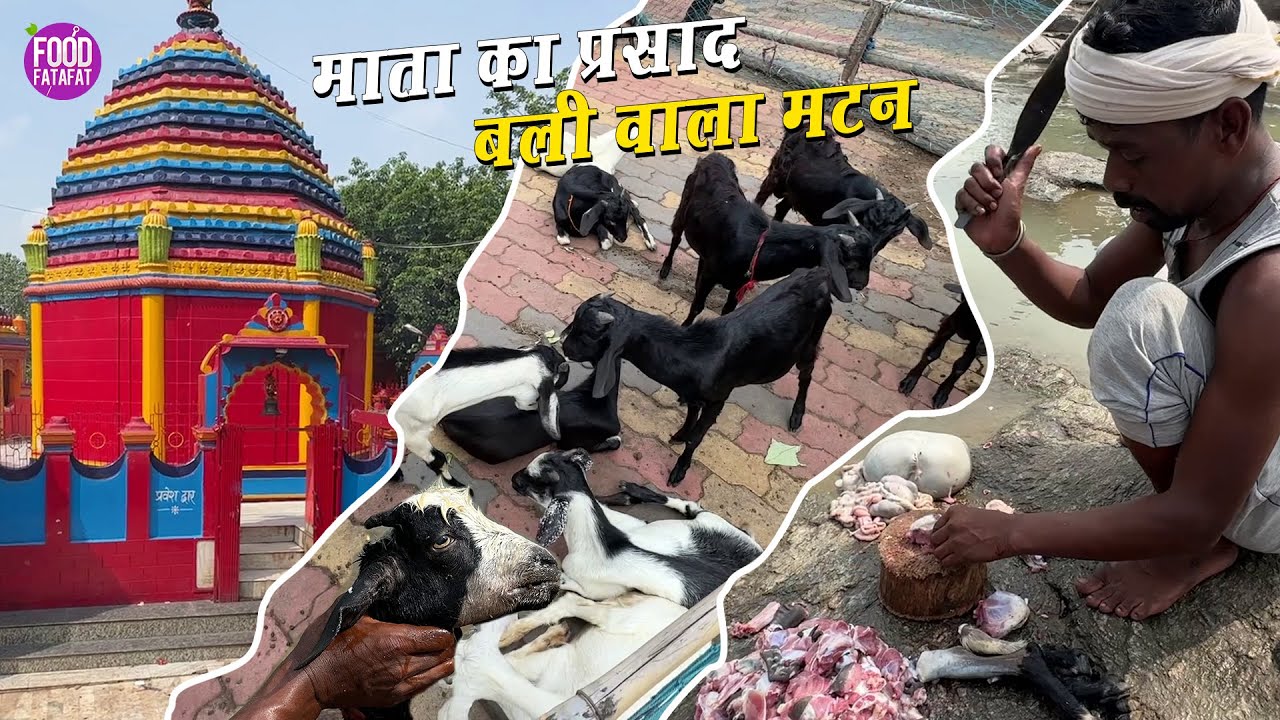 माता के प्रसाद में मटन मिट मिलेगा, लाखों लोगों की भीड़ जुटती है Rajrappa Maa Chinmastika Temple