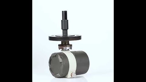 Sincerity Group SS 316L Material Fork Density Meters Display Video