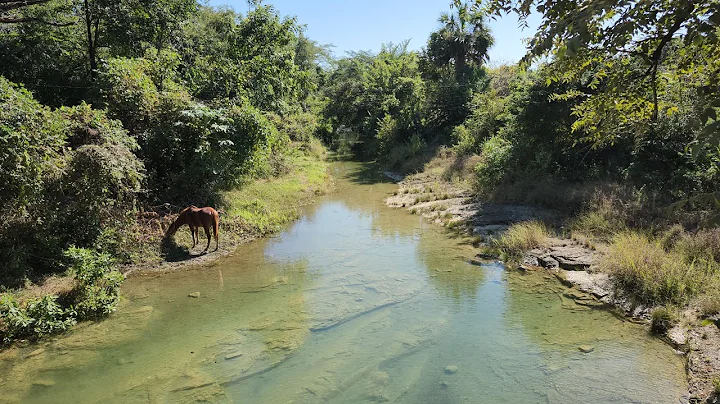 Yet Another Adventure With #MasklessRefugee 🤠 En Chamal Nuevo Tamaulipas Mexico 🇲🇽