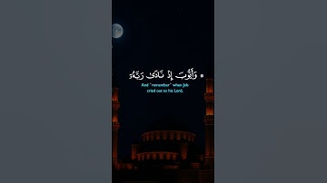 آيات بينات من الذكر الحكيم بصوت يريح القلب ❤ #القرآن_الكريم #اكسبلور #المصحف #المغرب