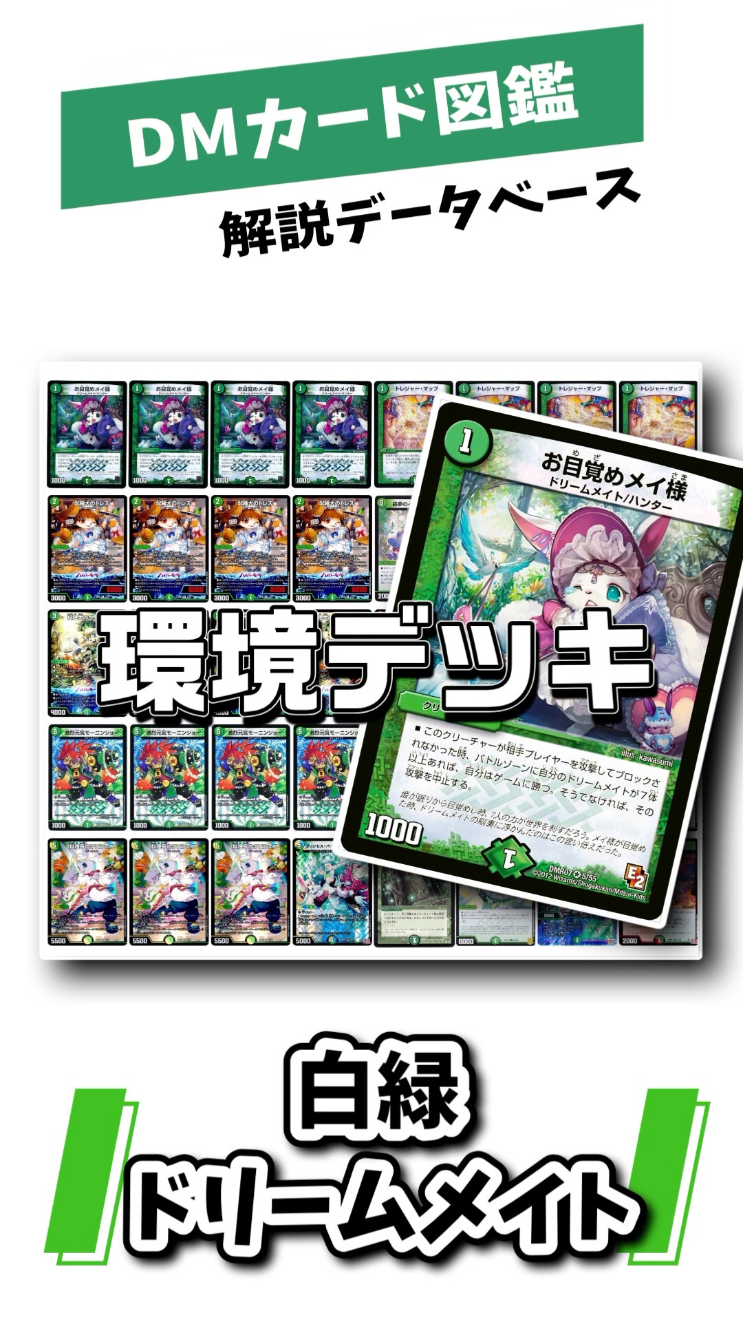 20秒でわかる！！【デュエマ環境デッキ解説】DMカード図鑑 白緑
