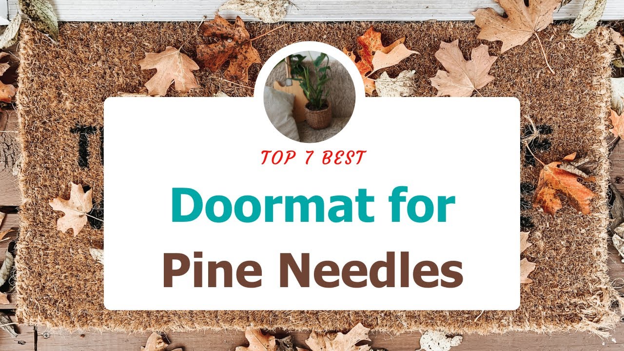 7 Best Doormat for Pine Needles Best Outdoor Mat YouTube