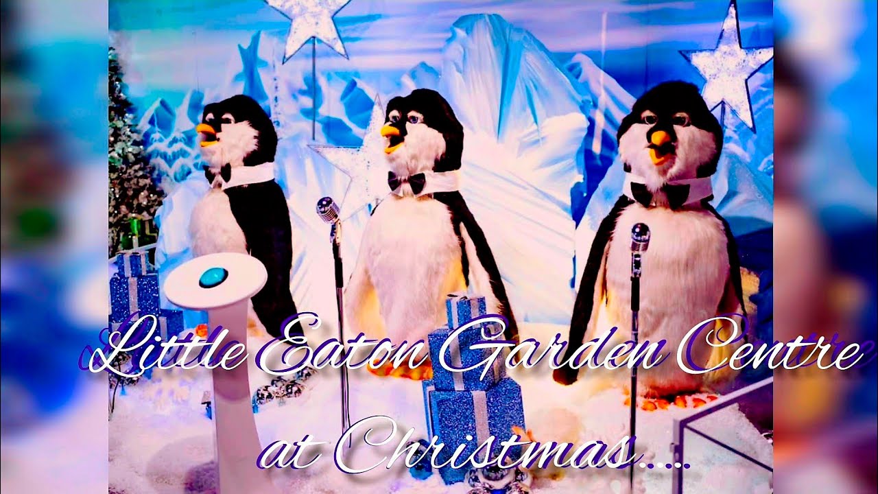 Christmas Decorations 2023 At Little Eaton Garden Centre An Explosion christmas-decorations-2023-at-little-eaton-garden-centre-an-explosion