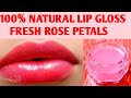 Homemade Lip Gloss - Homemade Lip Balm - Organic Rose Lip Balm - Pink Lips - Aloe Vera Lip Balm