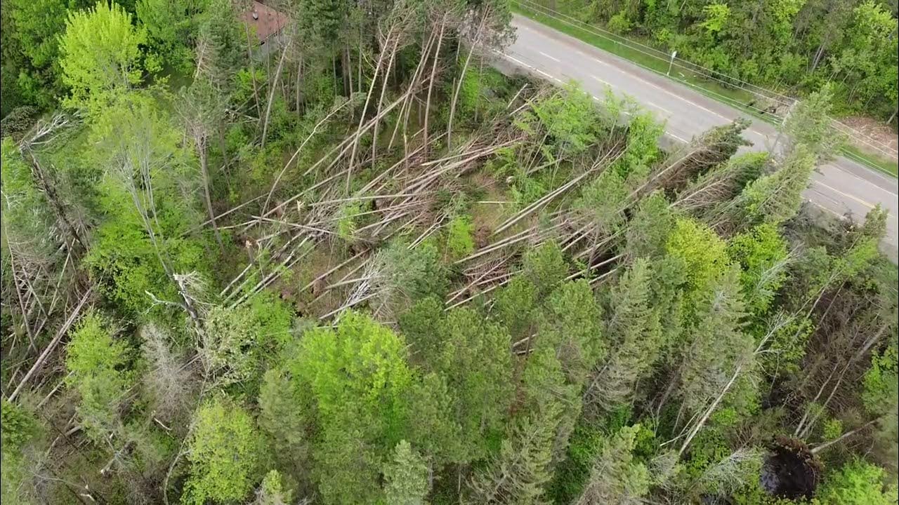 Derecho Ottawa 2022 YouTube