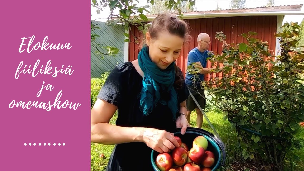 Elokuun fiiliksiä ja omenashow 🍎  // Vlogi