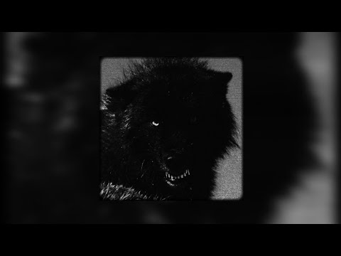 MONTAGEM TERROR DO LOMBISOMEM - (SLOWED)