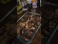 Pulutan #chill #cheers #beef#kilawen 🥃🍻👌