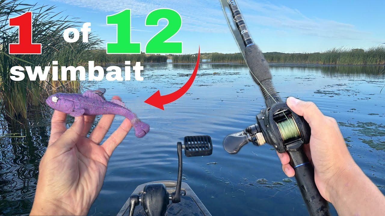 This RARE SWIMBAIT Catches MONSTER BASS! |1 of 12|