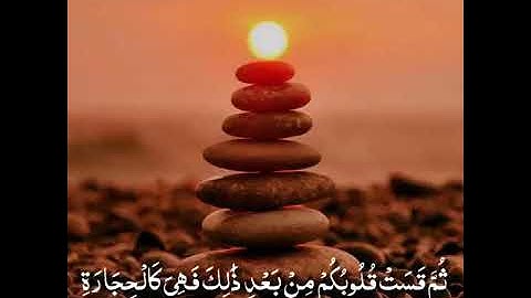 حالات واتس اب قران ادريس ابكر🍃اجمل حالات واتس اب دينية تلاوة خاشعة🍃ارح سمعك
