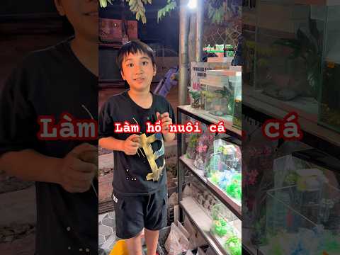 Làm hồ nuôi cá #bettasales #ngocdiemaquarium