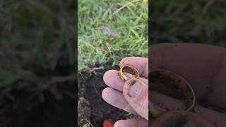 Encontré Oro, buscando oro #metaldetecting #finds #increíble