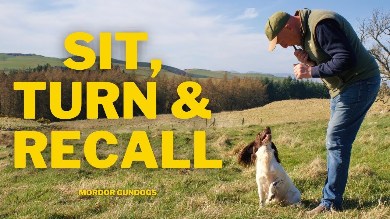 3 Whistle Commands You NEED To Teach Your Dog YouTube 3-whistle-commands-you-need-to-teach-your-dog-youtube