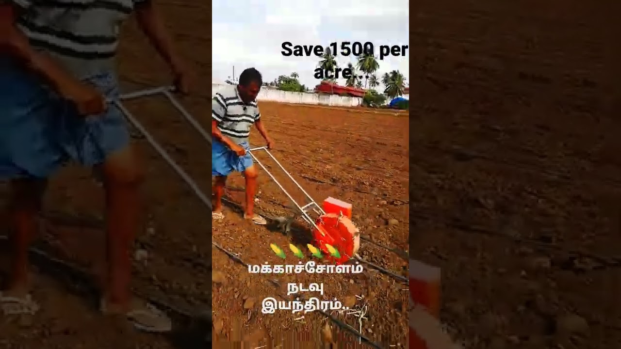 மக்காச்சோளம் நடவு இயந்திரம்..🌽🌽corn planting machine..(save 1500 per acre) 