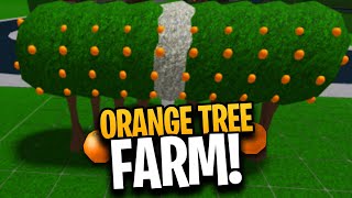 How to make Orange Tree Farm in BLOXBURG? (Roblox)