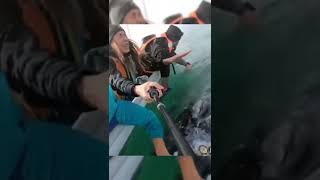 Whale Sneezing at Women's Face! #whalesnezing #whale