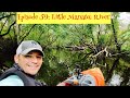Episode 59: The Little Manatee River Kayak