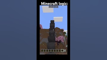 Minecraft logic be like: #minecraft #shorts #foryou #gaming #memes #edit #hack #logic ￼