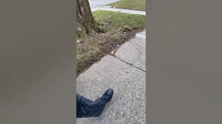 A walk through the neighborhood with Donald Bowman...