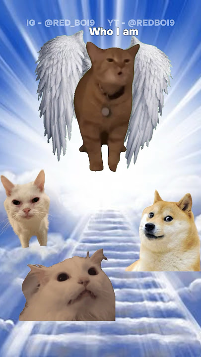Rip Cala the Cat ( I go meow ) | Red Boi