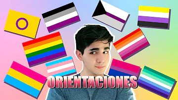 ¿Cuál es la bandera de los heteros?