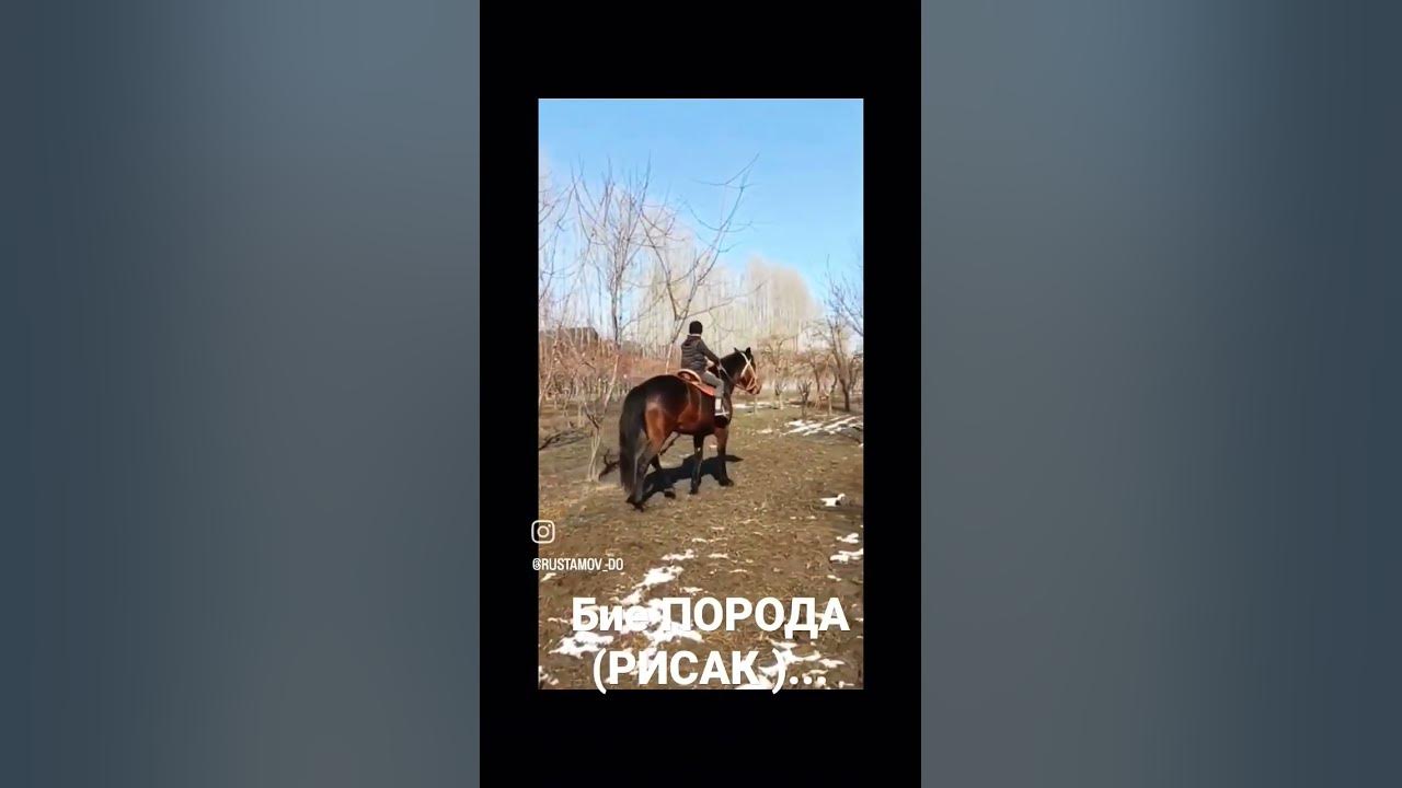 Бие Рисак - YouTube