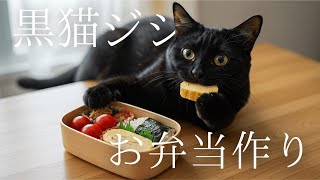 ジジねこさん専用 mqdefault.jpg