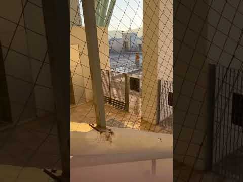 Αποχώρηση Βαγγέλη Μαρινάκη