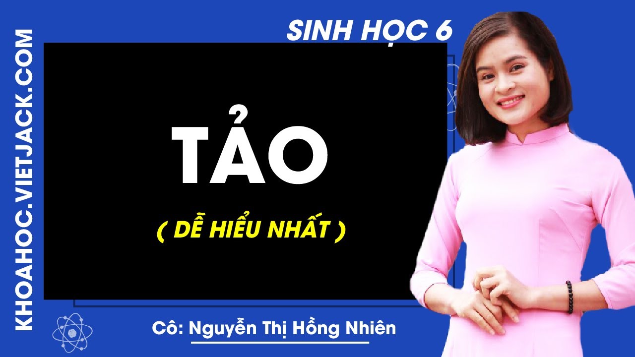 Tảo sinh học 6 | Sinh học 6 – Bài 37 – Tảo – Cô Nguyễn Thị Hồng Nhiên (DỄ HIỂU NHẤT)