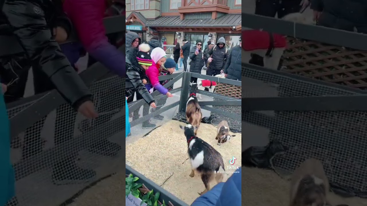 Blue mountain village canada 