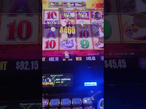 Gioca al Casinò Online su WinBay: la Migliore Esperienza di Gioco Mobile in Italia