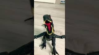Les Dino dansent maintenant ??