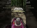Лучшее время для путешествий с грудным ребенком.