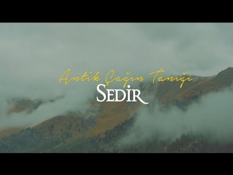 Video: Doğu Kırmızı Sedir Ağacı Bilgileri: Peyzajda Doğu Kırmızı Sedirleri Yetiştirme