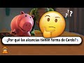 20 Preguntas Curiosas que No Sabías en 10 Minutos #4