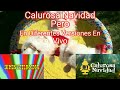 Calurosa Navidad Pero En Diferentes Versiones En Vivo