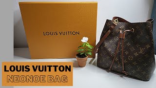 DEFINITELY buy this Louis Vuitton bucket bag NOT the NeoNoe 