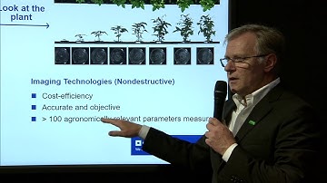 BASF @ K2019: Use of plants as a sensor to asses impact of additives used in plastic greenhouses